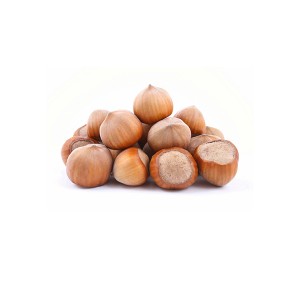 Hazelnuts in shell