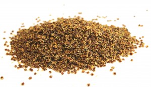 Dried quinoa sprouts