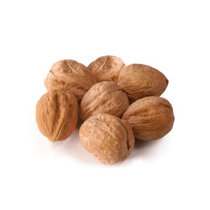 Walnuts in shell
